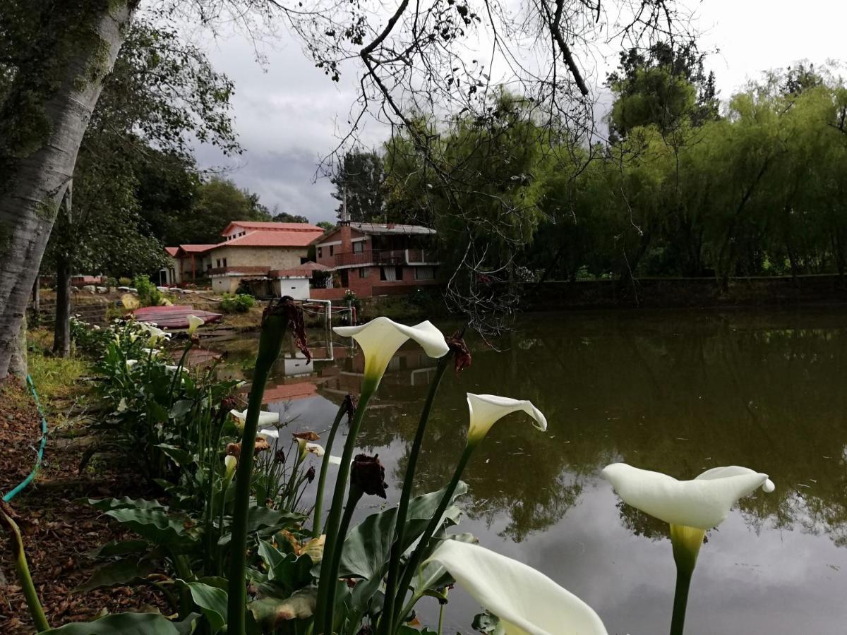 Hacienda Moncora, Un Lugar Hermoso Para Toda La Familia Y Los Amigos El Rosal Exterior photo