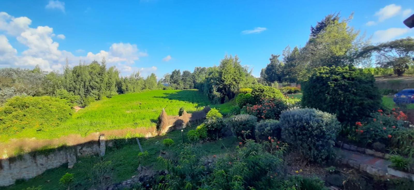 Hacienda Moncora, Un Lugar Hermoso Para Toda La Familia Y Los Amigos El Rosal Exterior photo